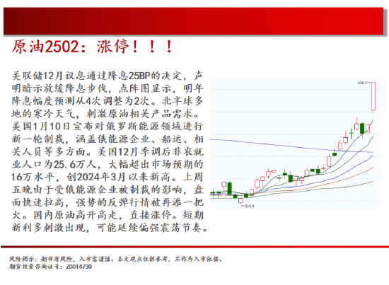 2025年1月13日大宗商品市场热点品种分析