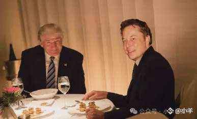 DOGE和PEOPLE潜力巨大！马斯克加持，鲸鱼疯狂增持，20倍涨幅可期？