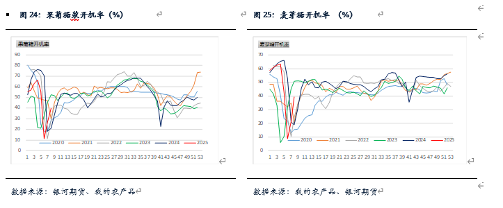 二〇二五年二月玉米市场行情分析及交易策略