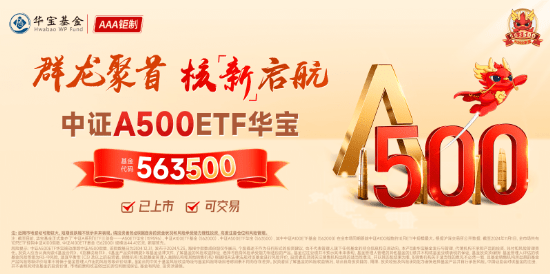 中证A500ETF华宝(563500)：市场波动中的机遇与挑战