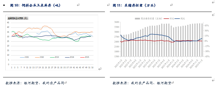 二〇二五年二月玉米市场行情分析及交易策略
