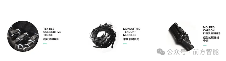 波兰机器人公司Clone Robotics即将推出“硅基人类”：兼具仿生外观和液压驱动的人形机器人Clone Alpha