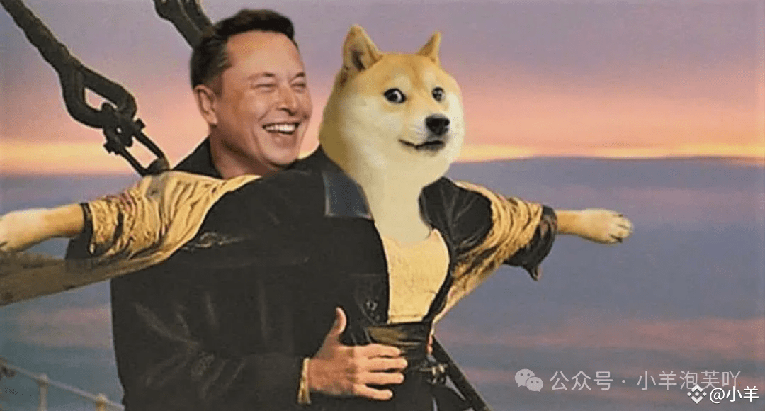 DOGE和PEOPLE潜力巨大！马斯克加持，鲸鱼疯狂增持，20倍涨幅可期？