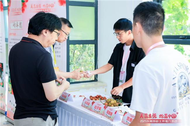 東莞荔枝華麗北上：順豐速運助攻，蕭雅全《百味人生》讚譽