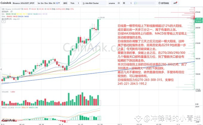 SOL币价分析：强势上涨，目标280-300区间